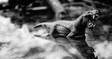 Dinosaur Prehistoric Times Animal  - MikeWildadventure / Pixabay