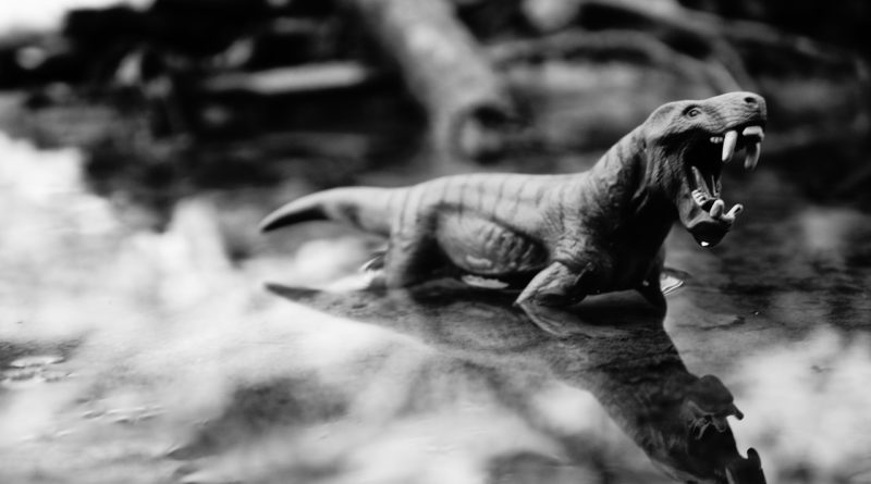 Dinosaur Prehistoric Times Animal  - MikeWildadventure / Pixabay