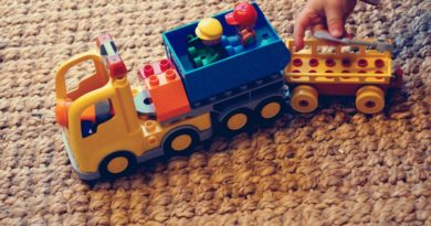 Duplo Toys Lego Duplo Play  - MIH83 / Pixabay