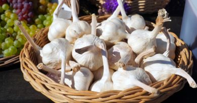 Garlic Basket Basket Of Garlic  - matthiasboeckel / Pixabay
