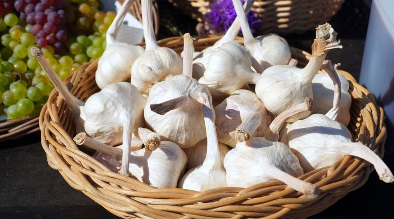 Garlic Basket Basket Of Garlic  - matthiasboeckel / Pixabay
