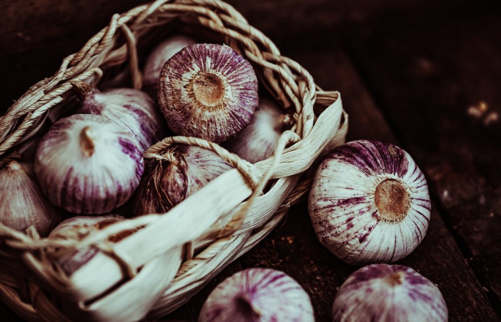Garlic Harvest Tuber Food - ka_re / Pixabay