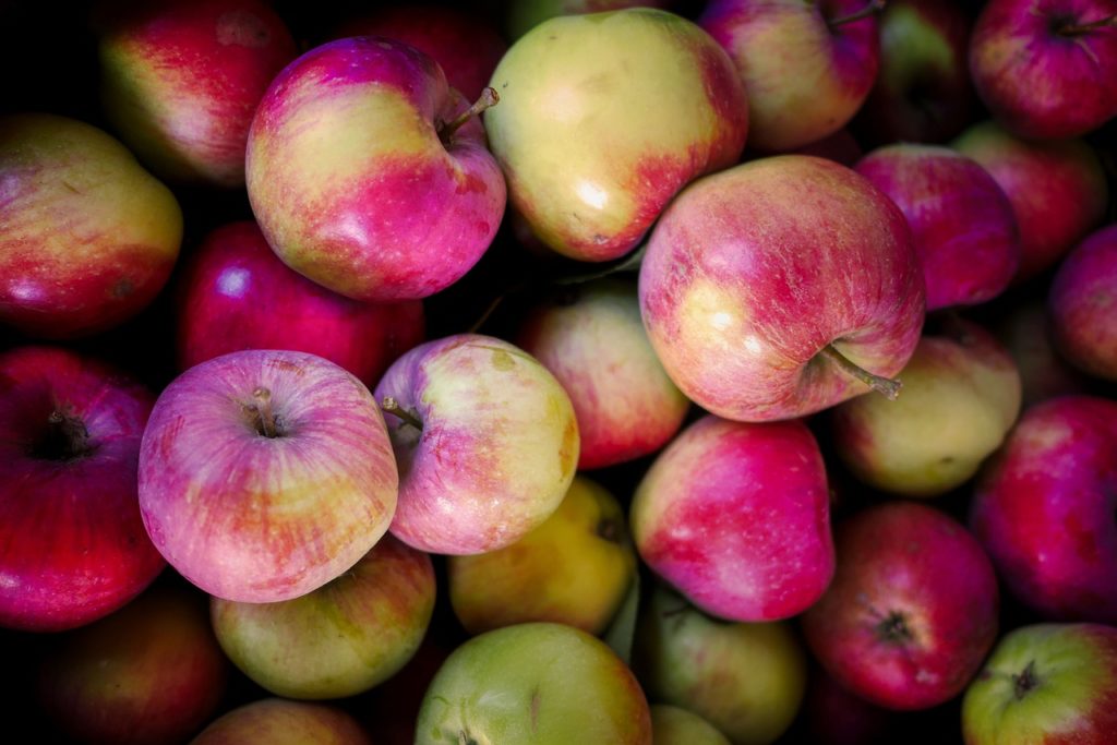 Harvest Apple Apfelernte Fruit - fietzfotos / Pixabay