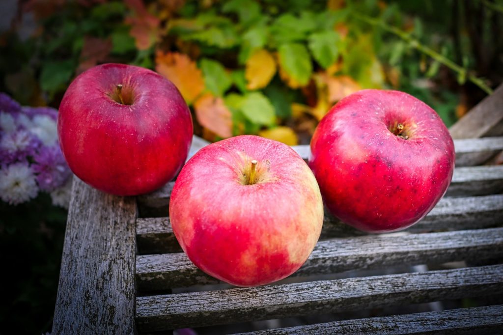 Harvest Apple Red Fruit Fresh - fietzfotos / Pixabay