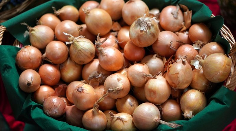 Onions Harvest Basket Food Fresh - matthiasboeckel / Pixabay