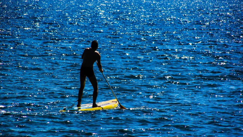 Paddling Paddleboard Board Water - dimitrisvetsikas1969 / Pixabay