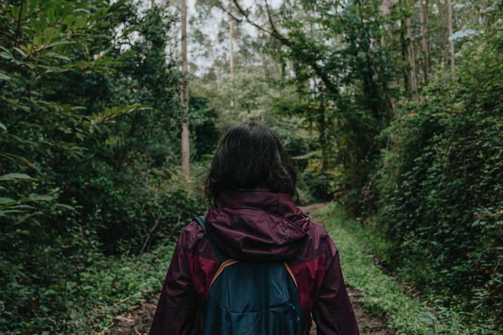 Woman Forest Hiking Girl Person - AveCalvar / Pixabay