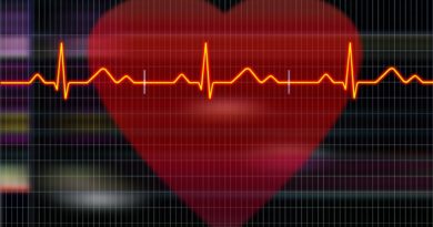 Cardiogram Heartbeat Heart  - HappyEnd / Pixabay
