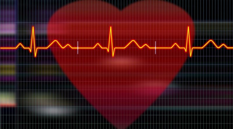Cardiogram Heartbeat Heart  - HappyEnd / Pixabay