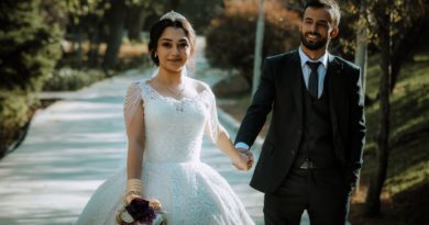 Newlyweds Marriage  - OlcayErtem / Pixabay