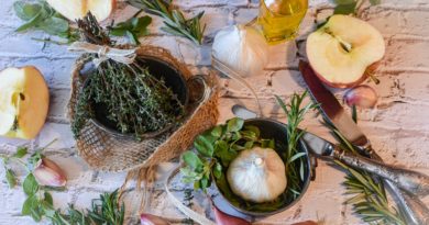 Spices Herbs Garlic Ingredients  - RitaE / Pixabay
