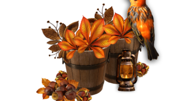 Bird Wooden Buckets Fall Autumn  - serginion / Pixabay