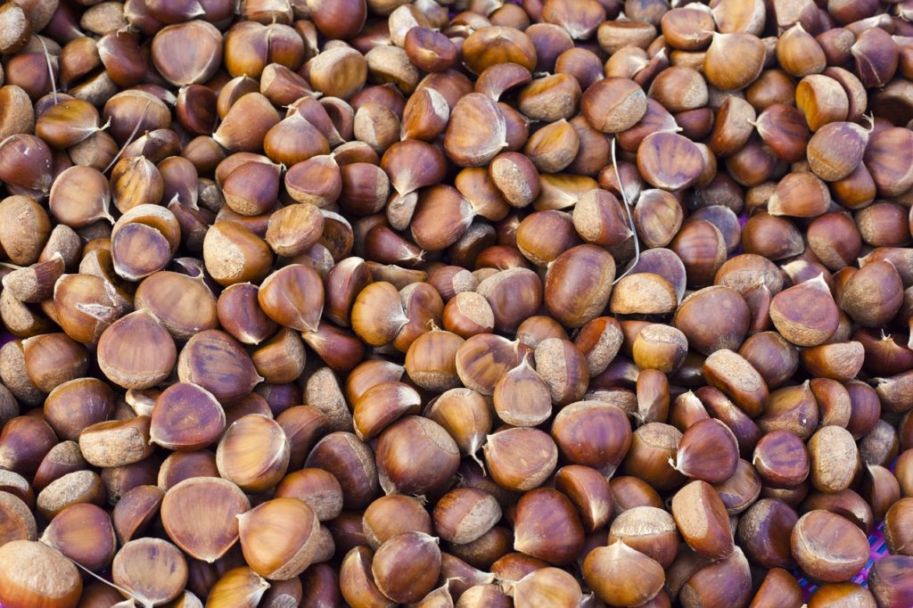 Chestnuts Brown Nuts Food Healthy - 깜부기 / Pixabay