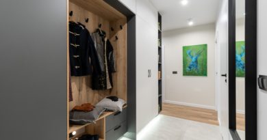 Wardrobe Mirror Corridor Clothes  - promofocus / Pixabay