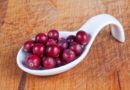 Cranberry Berries Harvest  - Waldrebell / Pixabay