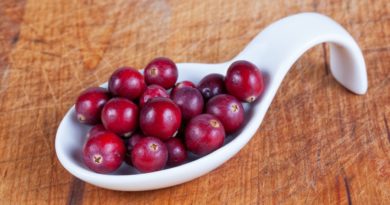 Cranberry Berries Harvest  - Waldrebell / Pixabay