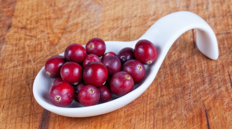Cranberry Berries Harvest  - Waldrebell / Pixabay