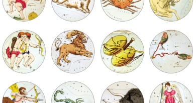Zodiac Signs Symbols Zodiac Signs  - terski / Pixabay