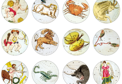 Zodiac Signs Symbols Zodiac Signs  - terski / Pixabay