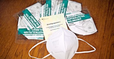 Corona Protective Masks Ffp  - monika1607 / Pixabay