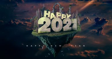 New Year Year Celebration City  - T_ushar / Pixabay