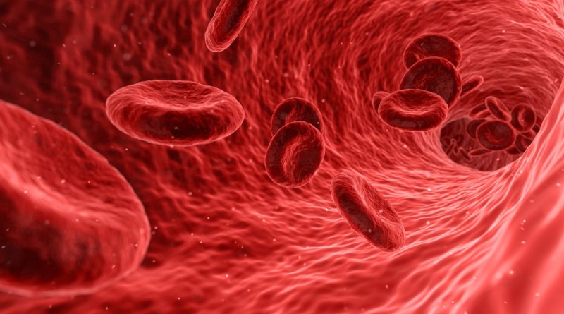 blood, cells, red
