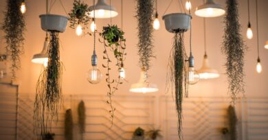 lights, decoration, hanging