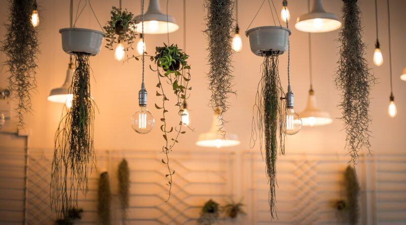 lights, decoration, hanging