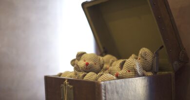 bear, teddy bear, toy
