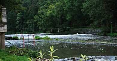river, camp, lužnice