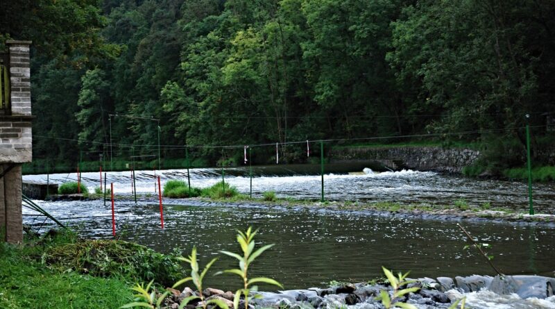 river, camp, lužnice