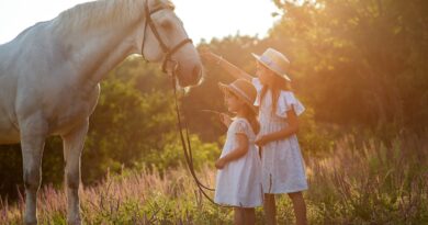 sisters, horse, children