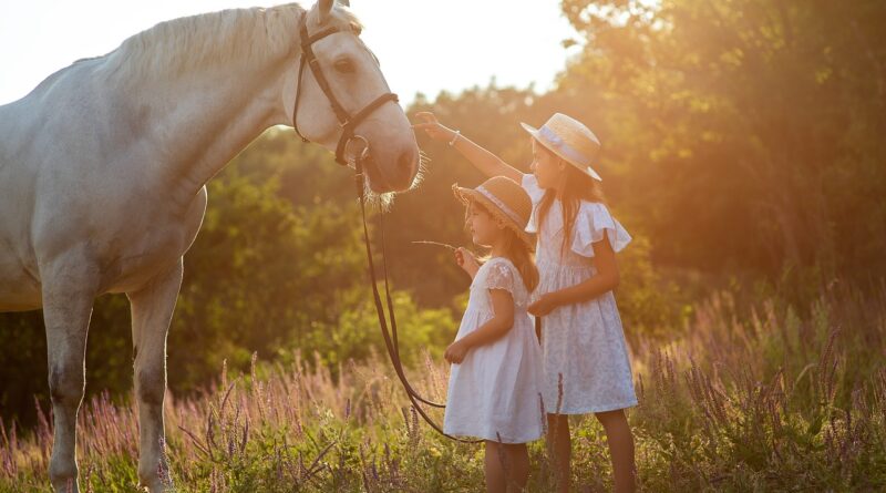 sisters, horse, children