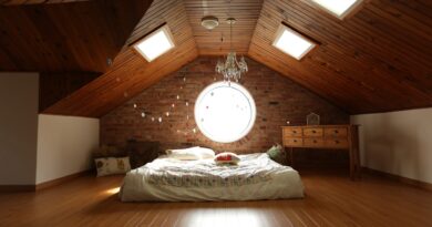 kids room, room, roof
