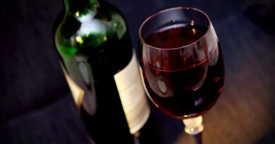wine, red wine, glass