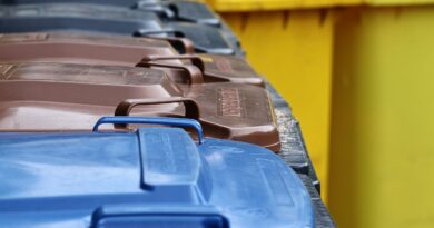 garbage cans, the garbage container, garbage disposal, brown ton, yellow bin, gray bin, blue tonne, germany, garbage, household waste, disposal, environmental protection, responsibility, waste separation, separate, garbage, garbage, garbage, garbage, garbage, household waste, waste separation