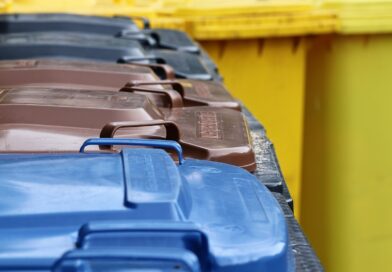 garbage cans, the garbage container, garbage disposal, brown ton, yellow bin, gray bin, blue tonne, germany, garbage, household waste, disposal, environmental protection, responsibility, waste separation, separate, garbage, garbage, garbage, garbage, garbage, household waste, waste separation