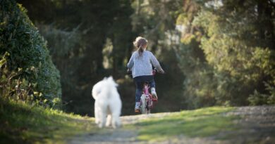 girl, biking, dog