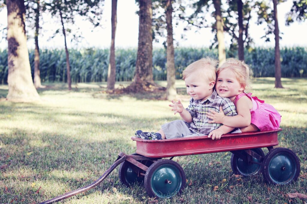 youth, children, wagon, child, childhood, people, kid, group, friends, friendship, happy, caring, little, boy, girl, kids, together, outside, children, children, children, children, children, wagon, friends, kids, kids, kids