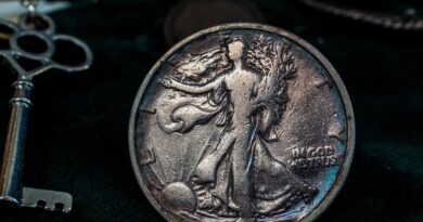 silver coin, silver dollar, usa, half dollar, dollar, historical, metal, coin money, currency, old, walking liberty, silver coin, silver coin, silver coin, silver coin, silver coin, silver dollar, silver dollar, half dollar